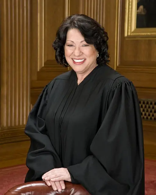 lawyer-attorney-law-judge-640x480-45196386.jpeg