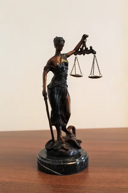 lawyer-attorney-law-judge-640x480-66016691.jpeg