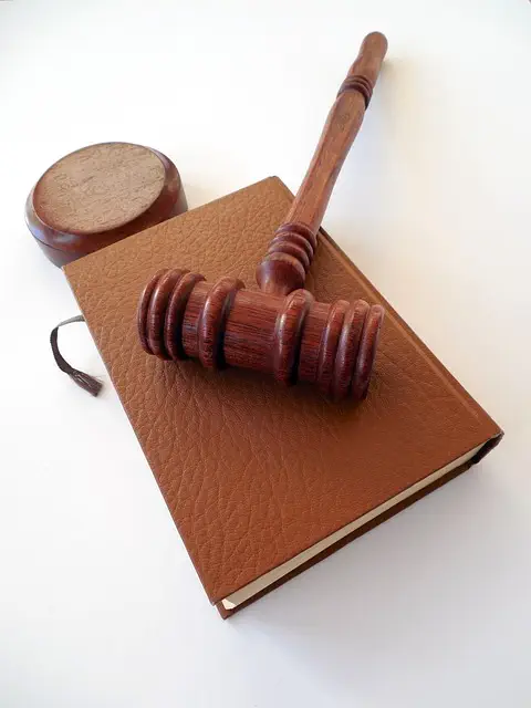 lawyer-attorney-law-judge-640x480-10843411.jpeg