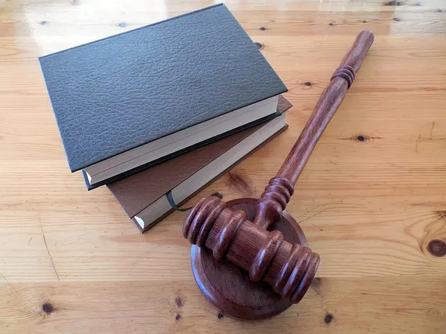 lawyer-attorney-law-judge-640x480-12454884.jpeg