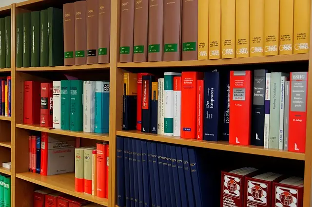 lawyer-attorney-law-judge-640x480-26681715.jpeg
