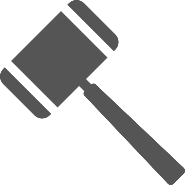 lawyer-attorney-law-judge-640x480-28035640.png