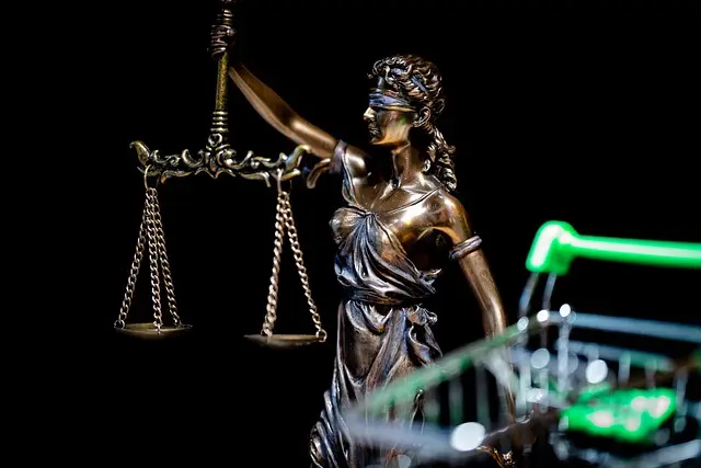 lawyer-attorney-law-judge-640x480-31757435.jpeg