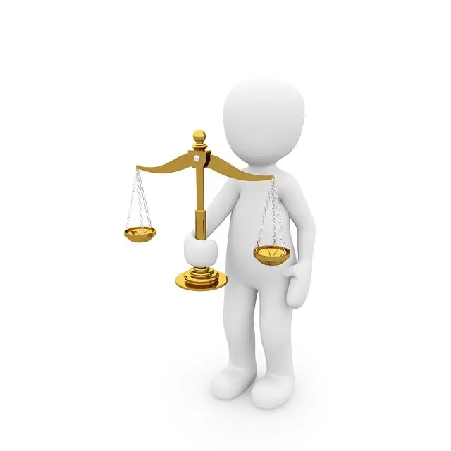 lawyer-attorney-law-judge-640x480-33820313.jpeg