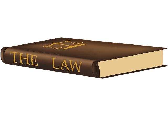 lawyer-attorney-law-judge-640x480-77527865.png