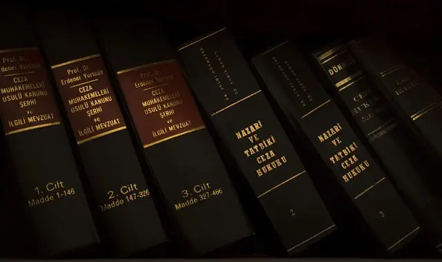 lawyer-attorney-law-judge-640x480-86377181.jpeg