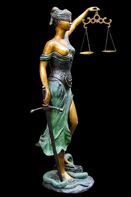 lawyer-attorney-law-judge-640x480-86665407.jpeg