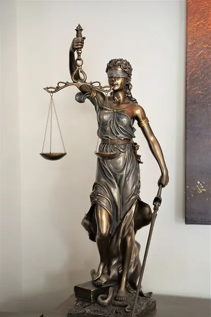 lawyer-attorney-law-judge-640x480-90611745.jpeg