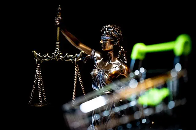 lawyer-attorney-law-judge-640x480-99119814.jpeg